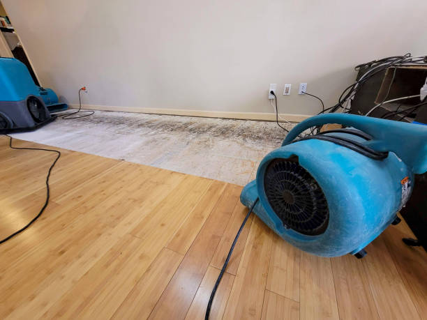 Professional Ceiling Water Damage Repair technician working in Marshall, VA